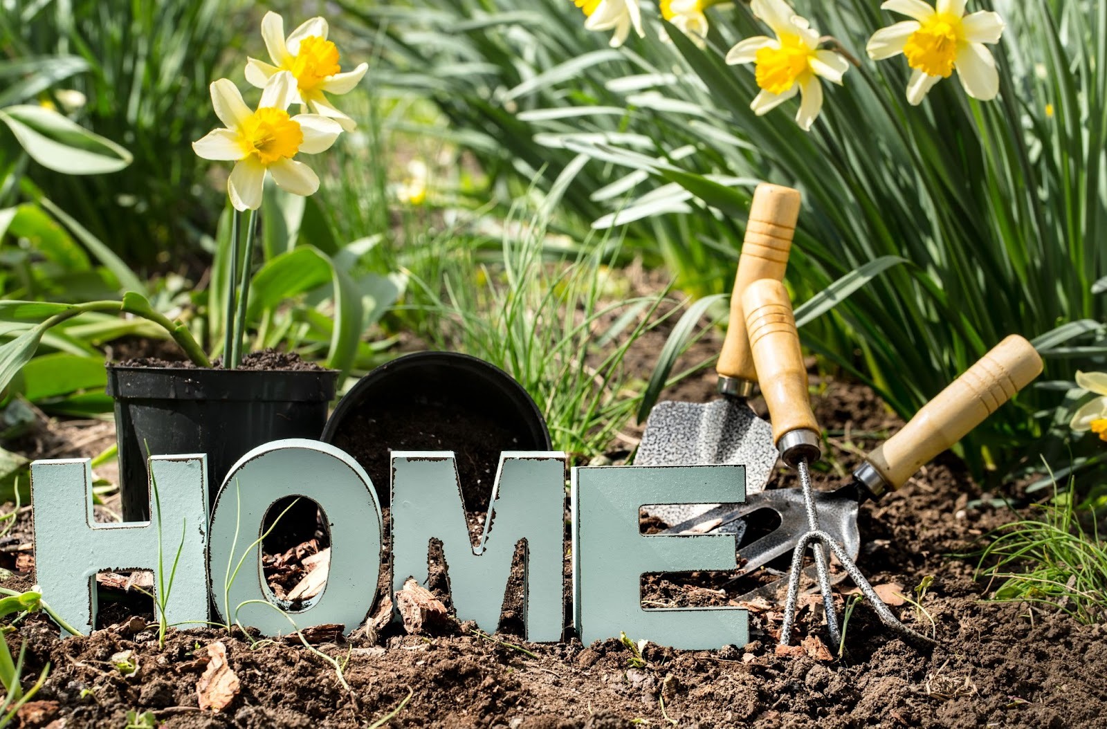 How to Keep Your Home Garden Healthy and Thriving